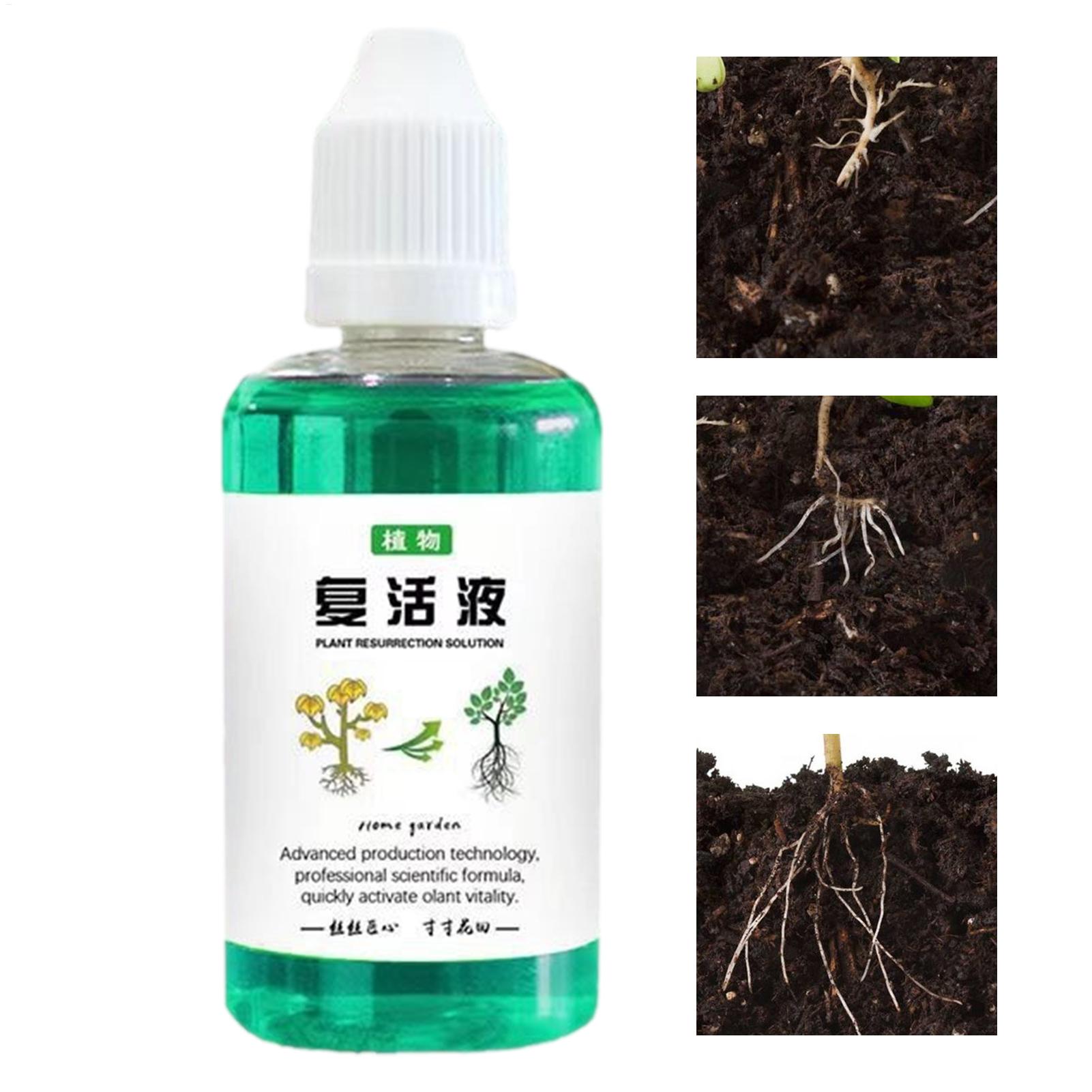 Root Stimulator Liquid - 50ml Wortelstimulator Plantenherstelvloeistof Plantaardige meststof Wortelversterker