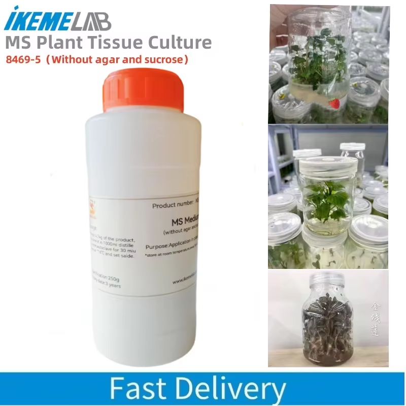 Agar Tissue Culture - IKEME 250g Lab MS Medium zonder