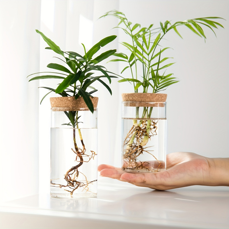 Propagation Station Vase - 1 Stuk, Hydrocultuur Planten Desktop Glas
