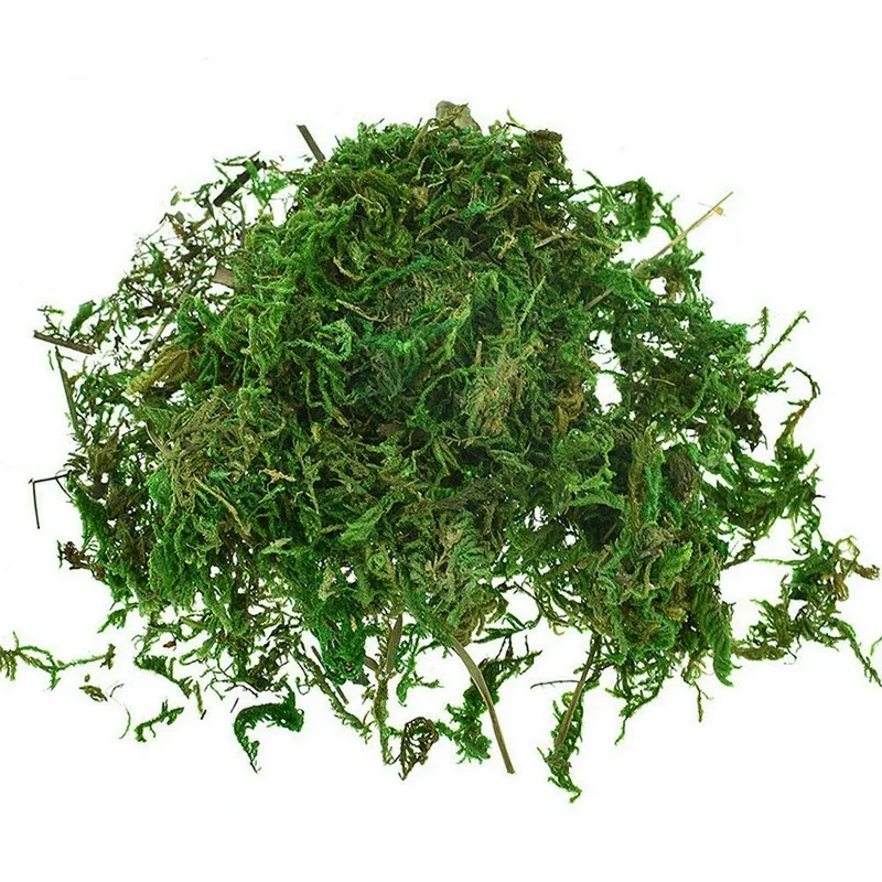 Sphagnum Moss Dry - 800G Droge Echte Groene Mos Decoratieve