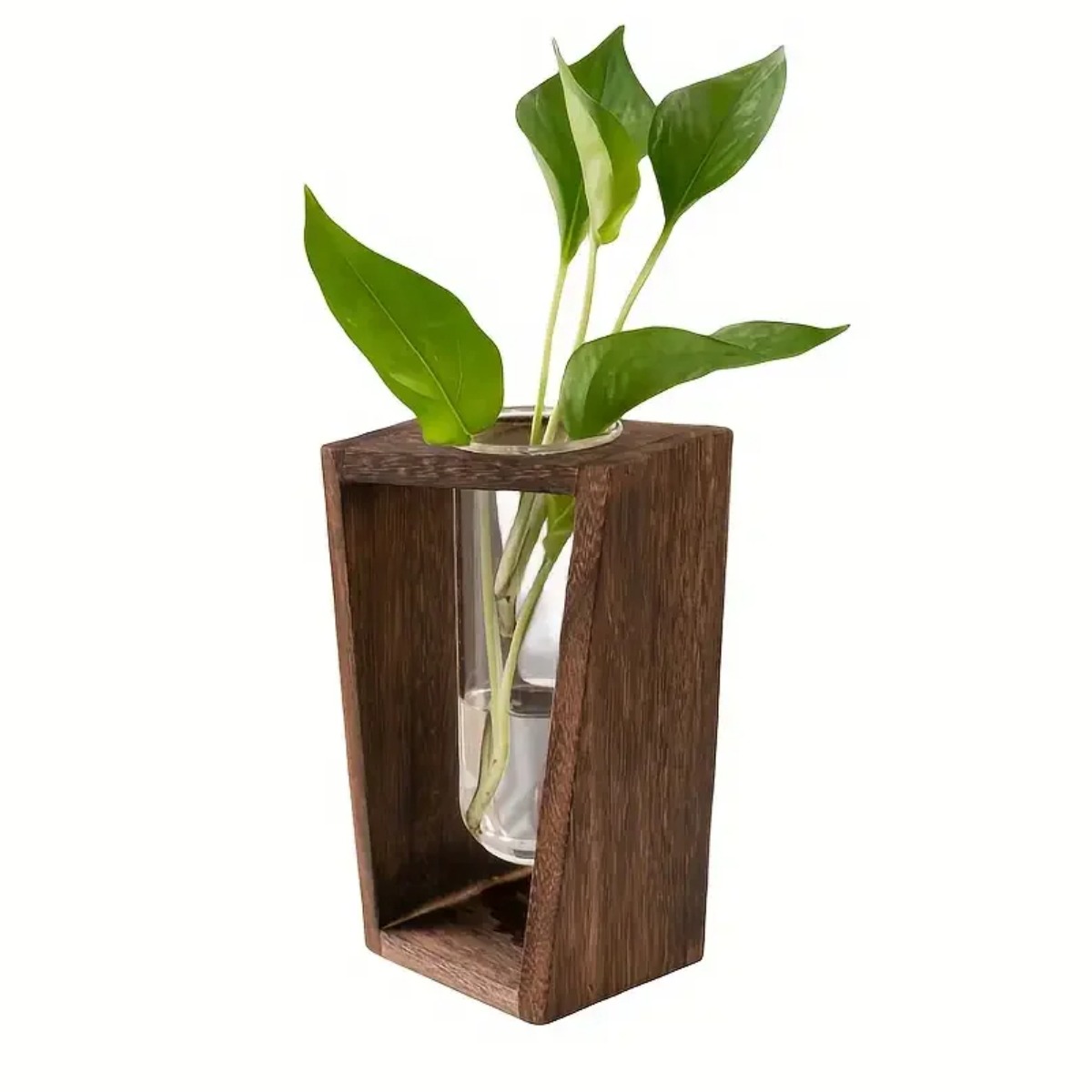 Propagation Station Vase - Plantenvermeerderingsstation Hydrocultuurvaas Houten plantenbak Moderne minimalistische