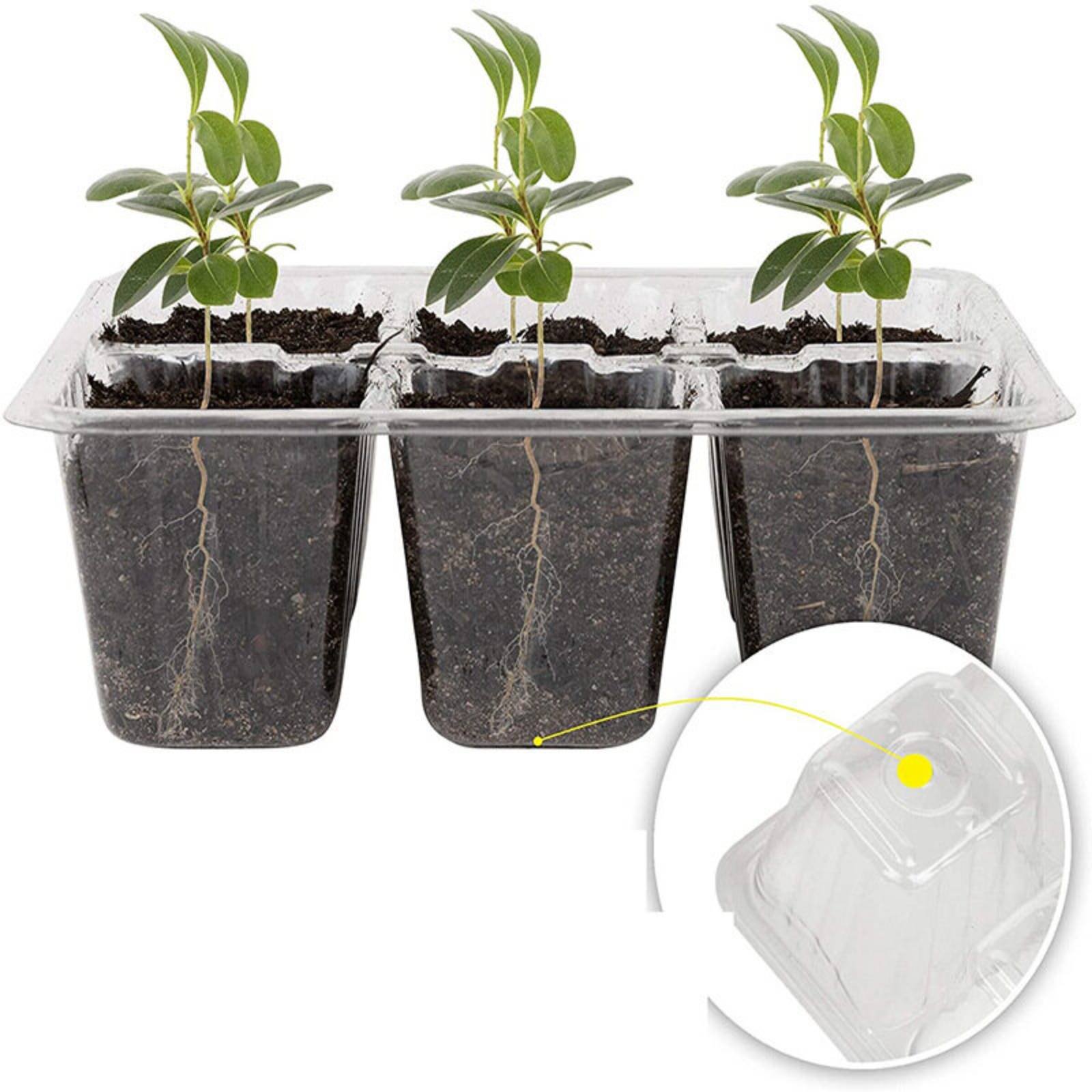 Humidity Dome Kit - 12-delige kiembak met transparant deksel, 12-delige