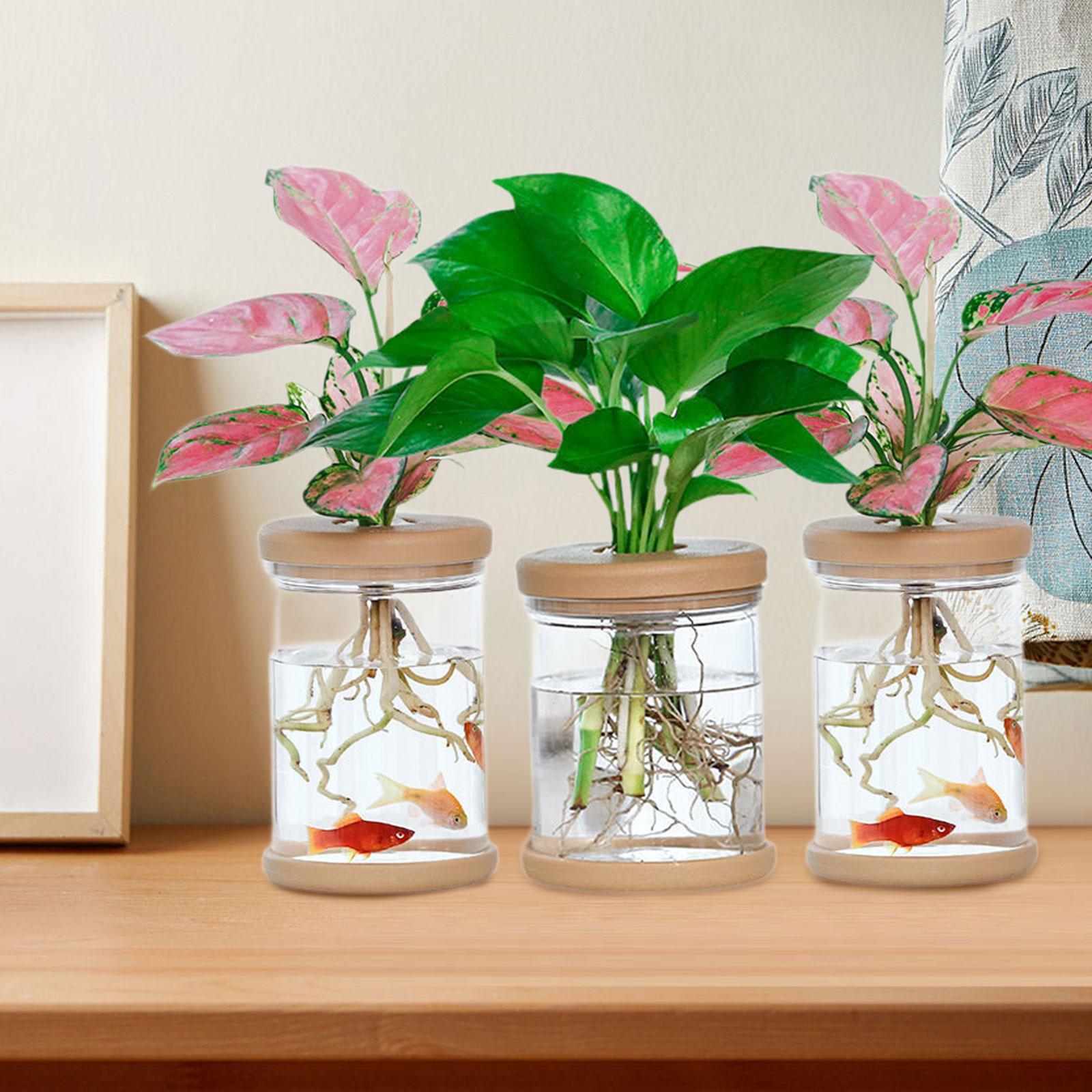 Propagation Station Vase - 3 stuks hydrocultuur bloemenvazen decoratieve vazen