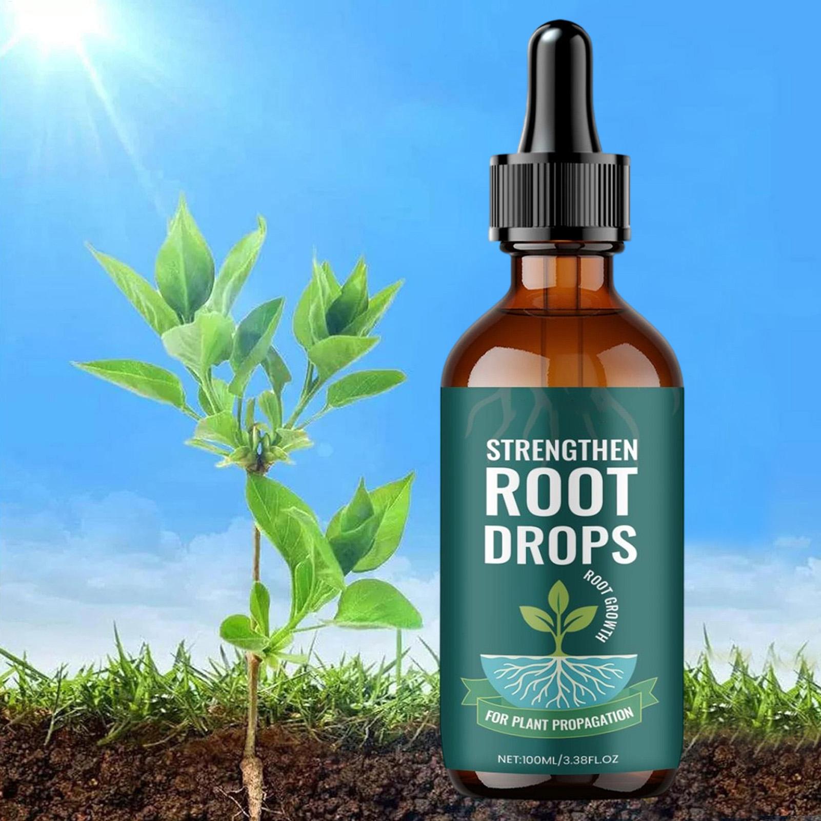 Root Stimulator Liquid - 100ml Plantenwortelvloeistof Druppels Wortelgroeistimulator Wortelhormoonconcentraat Voor