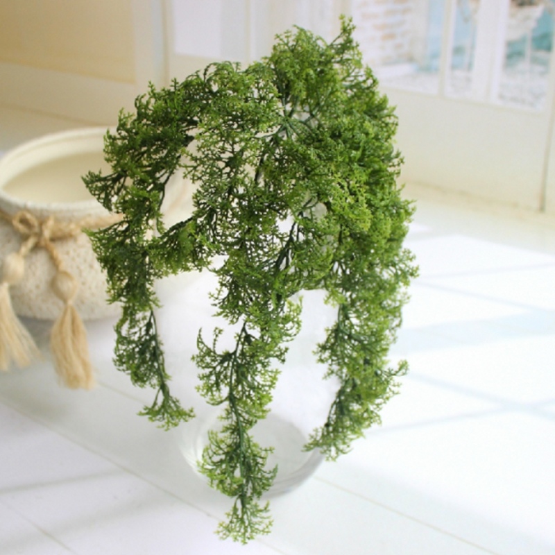 8-10 tak plastic kunstmatige m - Sphagnum Moss Dry recensie en prijs