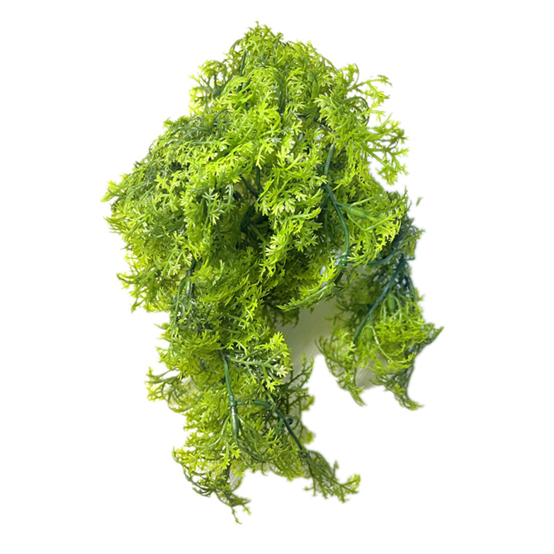 8-10 tak plastic kunstmatige m - Sphagnum Moss Dry recensie en prijs