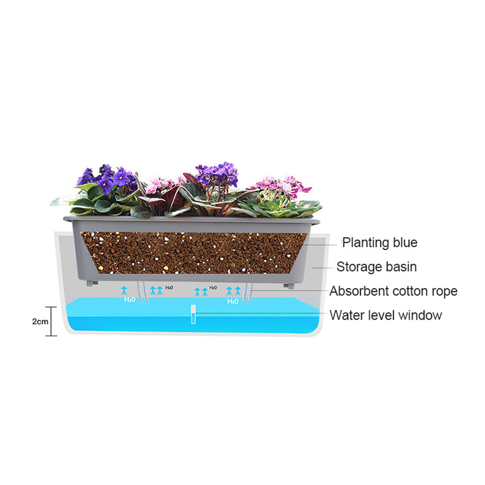 Zelfwatergevende plantenbakken - Self Watering Insert recensie en prijs