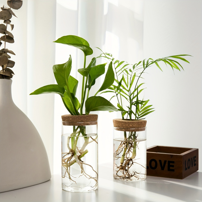 1 Stuk, Hydrocultuur Planten D - Propagation Station Vase recensie en prijs