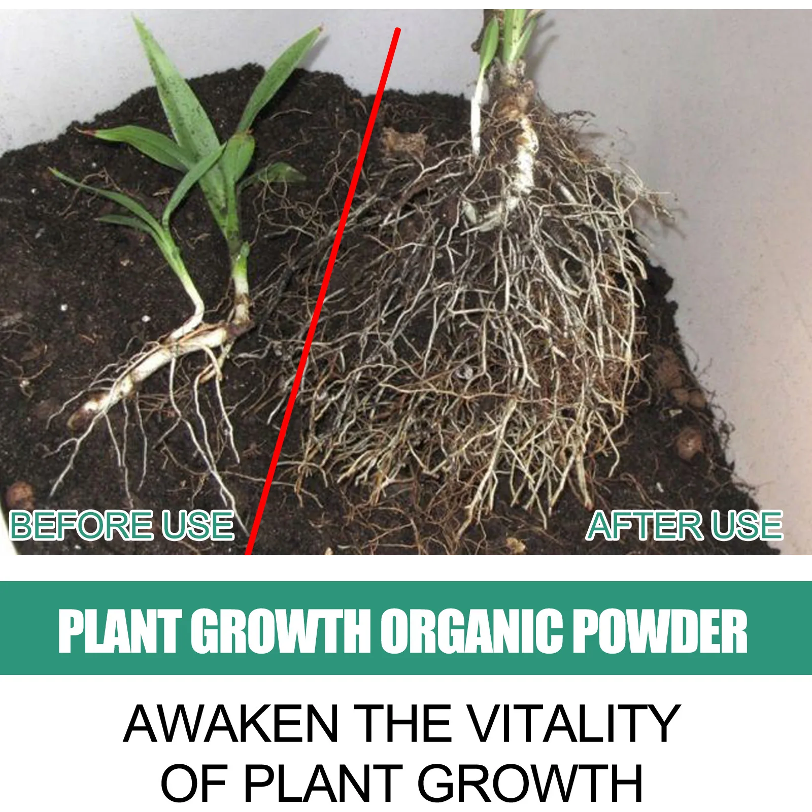 Snel wortelend poeder Verbeter - Rooting Hormone Powder recensie en prijs
