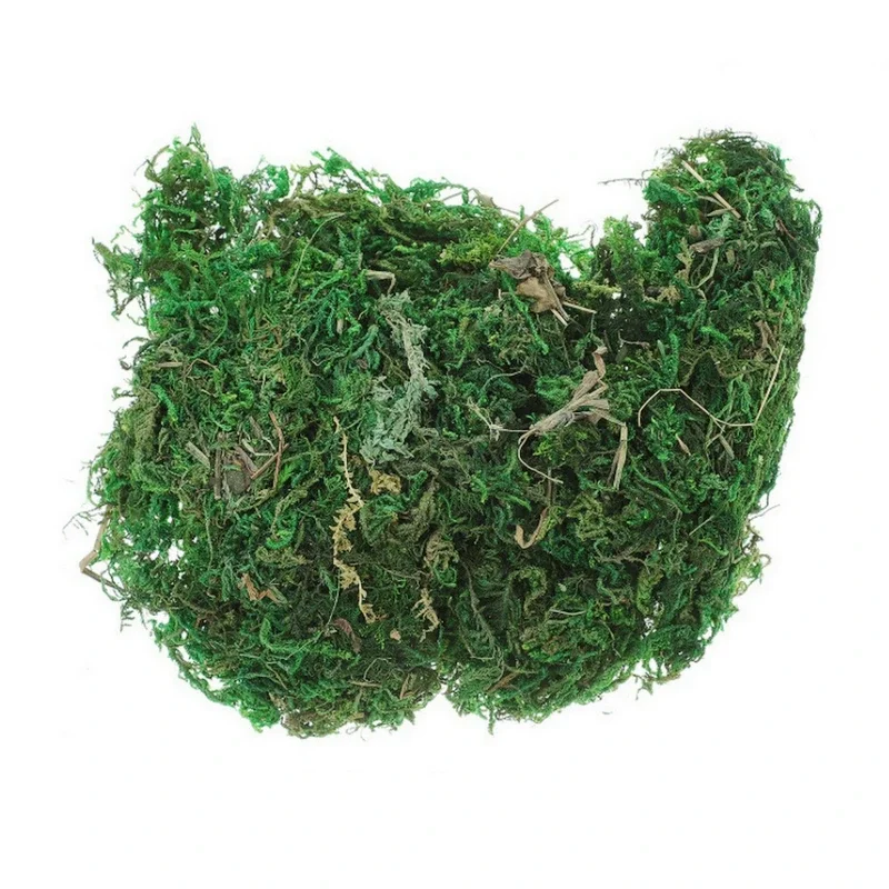 800G Droge Echte Groene Mos De - Sphagnum Moss Dry recensie en prijs