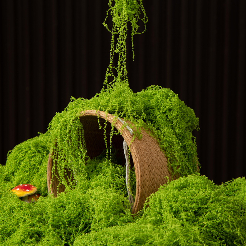 200g Eeuwig leven mos DIY amba - Sphagnum Moss Dry recensie en prijs