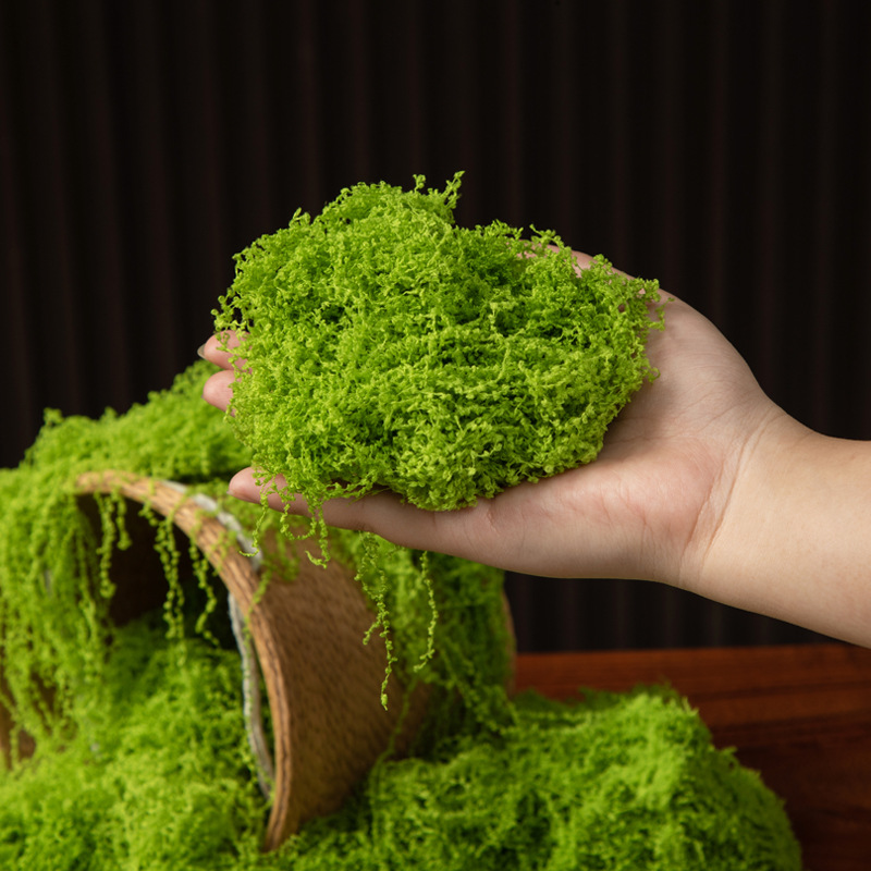 200g Eeuwig leven mos DIY amba - Sphagnum Moss Dry recensie en prijs
