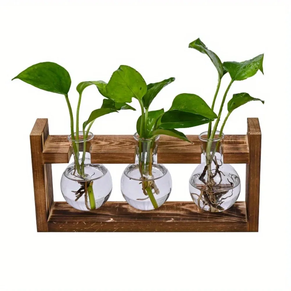 Tafelblad glazen plantenbak vo - Propagation Station Vase recensie en prijs