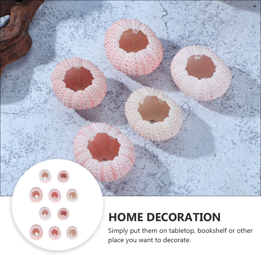 10Pcs Diy Sieraden Maken Sea S - Propagation Station Vase recensie en prijs