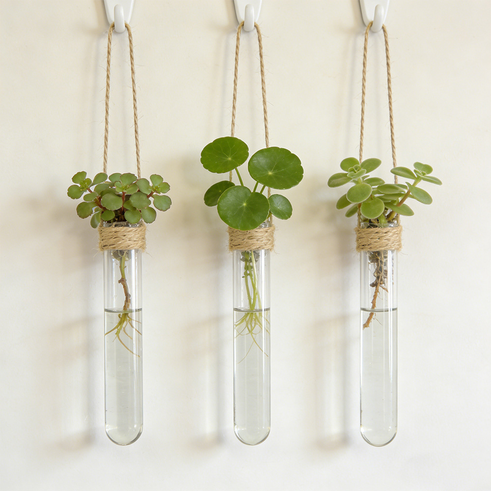 Hydroponische bloemenvaas aan  - Propagation Station Vase recensie en prijs