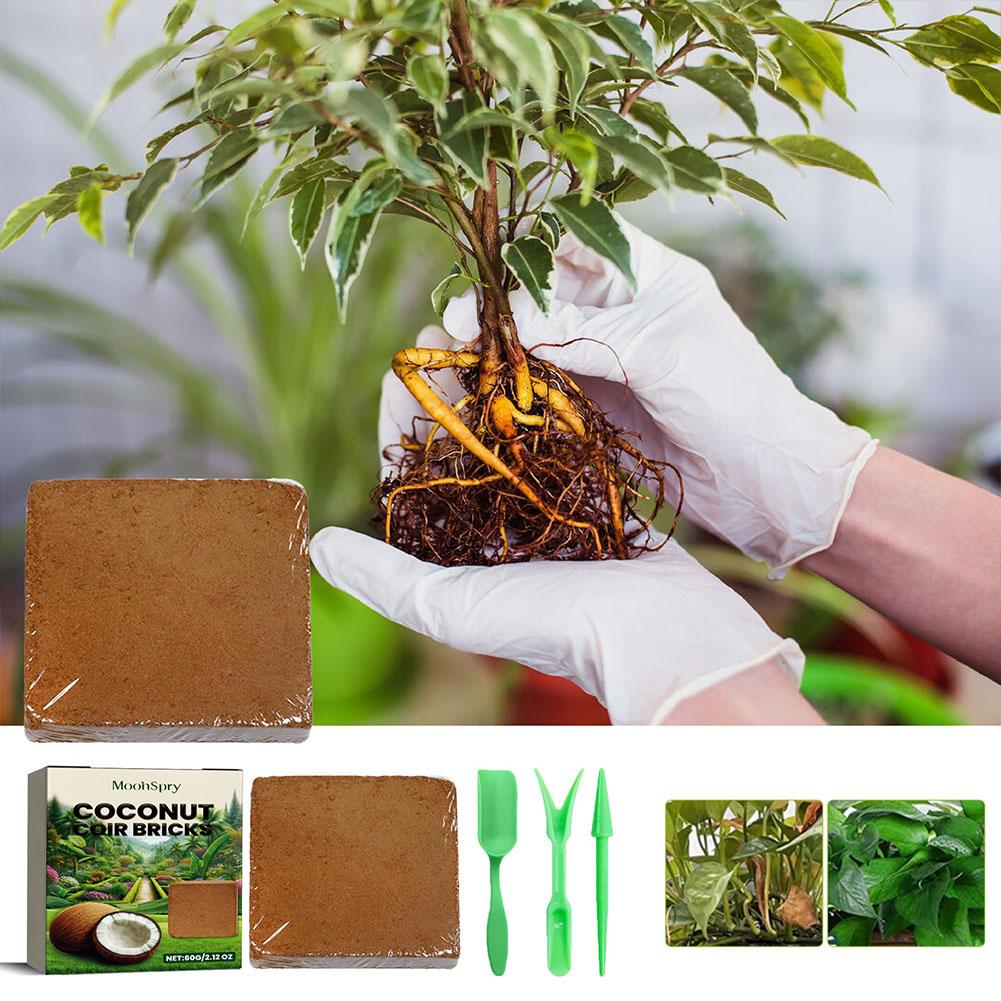 Kokosvezelblok - Biologisch po - Sphagnum Moss Dry recensie en prijs