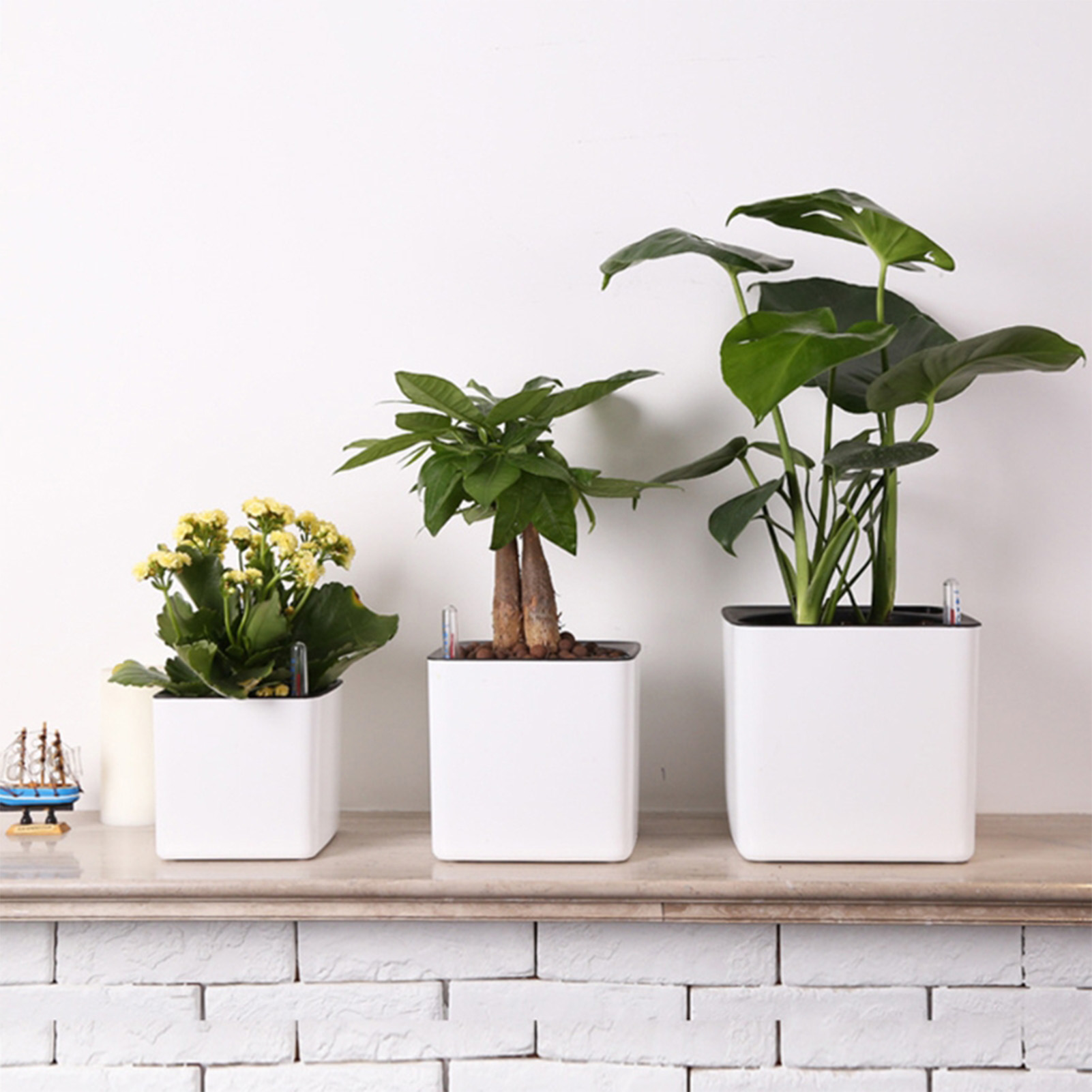 Zelfwaterende plantenbak Zelfw - Self Watering Insert recensie en prijs