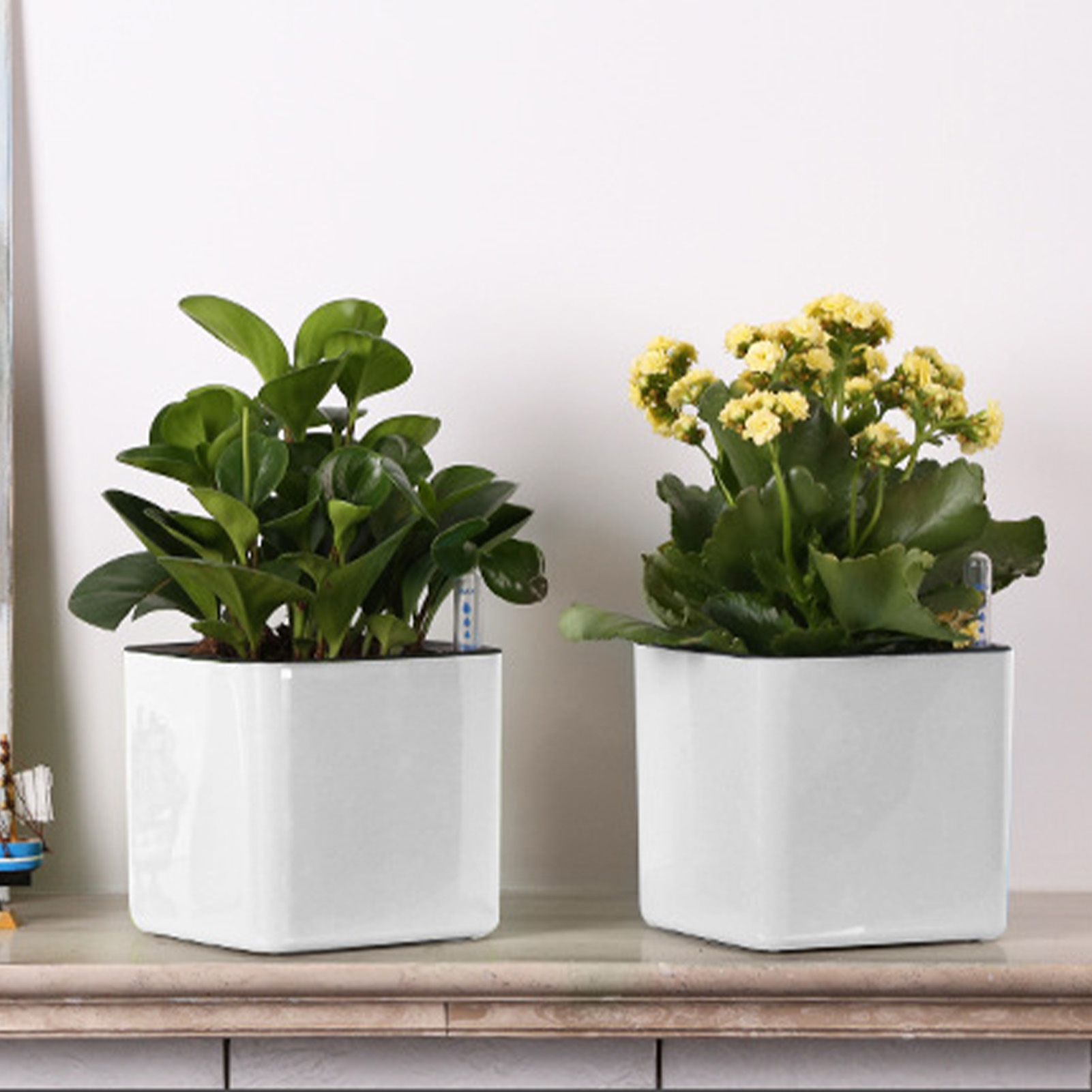 Zelfwaterende plantenbak Zelfw - Self Watering Insert recensie en prijs