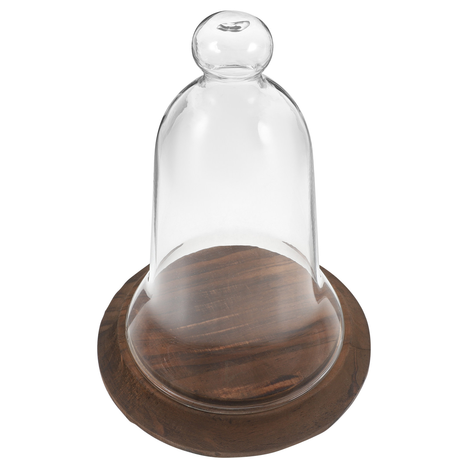 Glazen cloche, hoge glazen dis - Plastic Dome Clear recensie en prijs