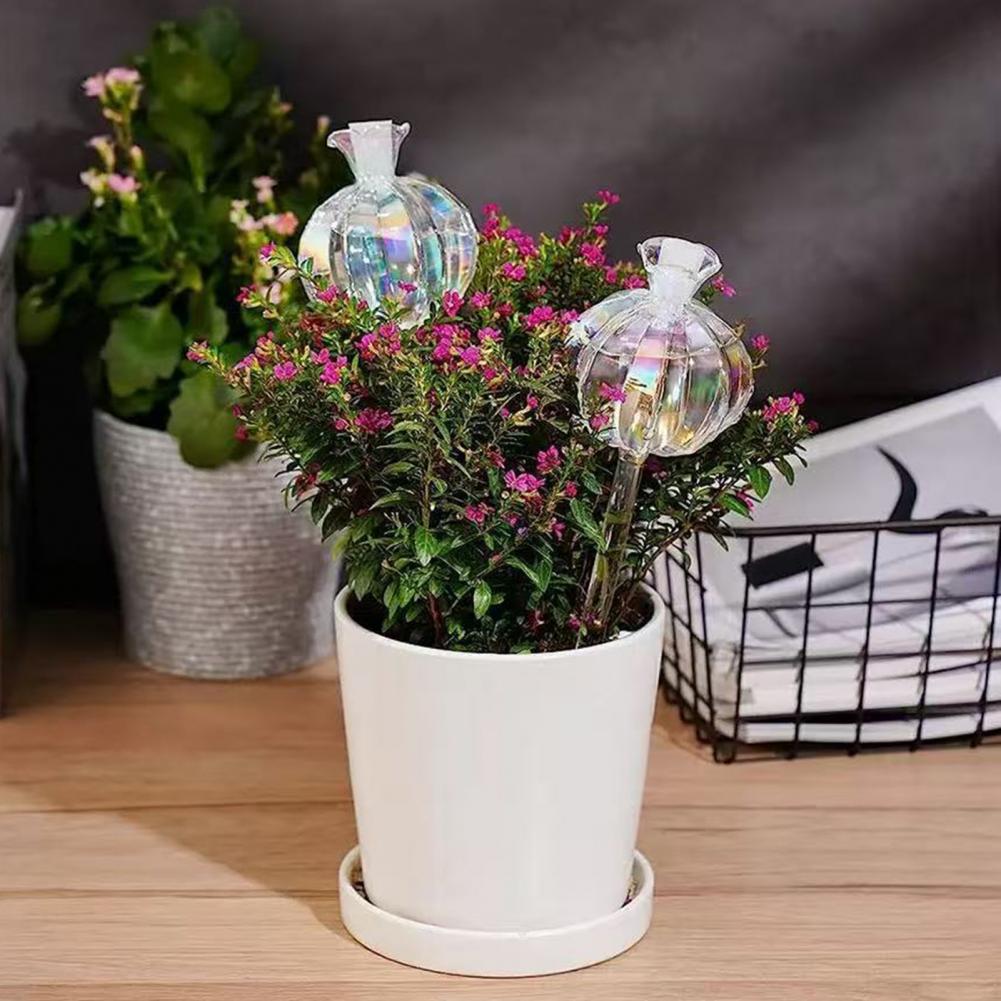 24 Cm Cactus Zelf Watering Bol - Self Watering Insert recensie en prijs
