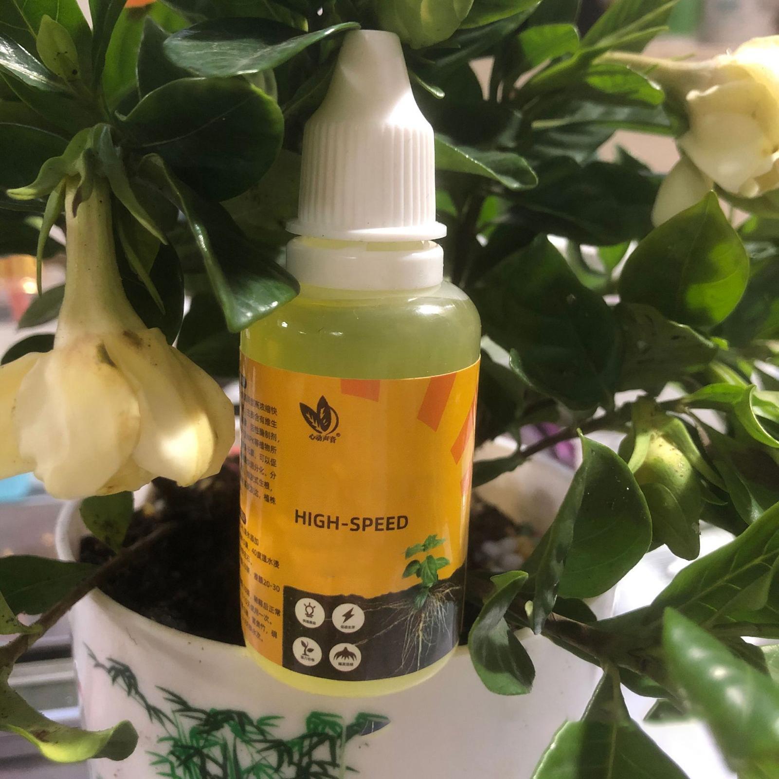 50ml Plantenwortelstimulator V - Root Stimulator Liquid recensie en prijs