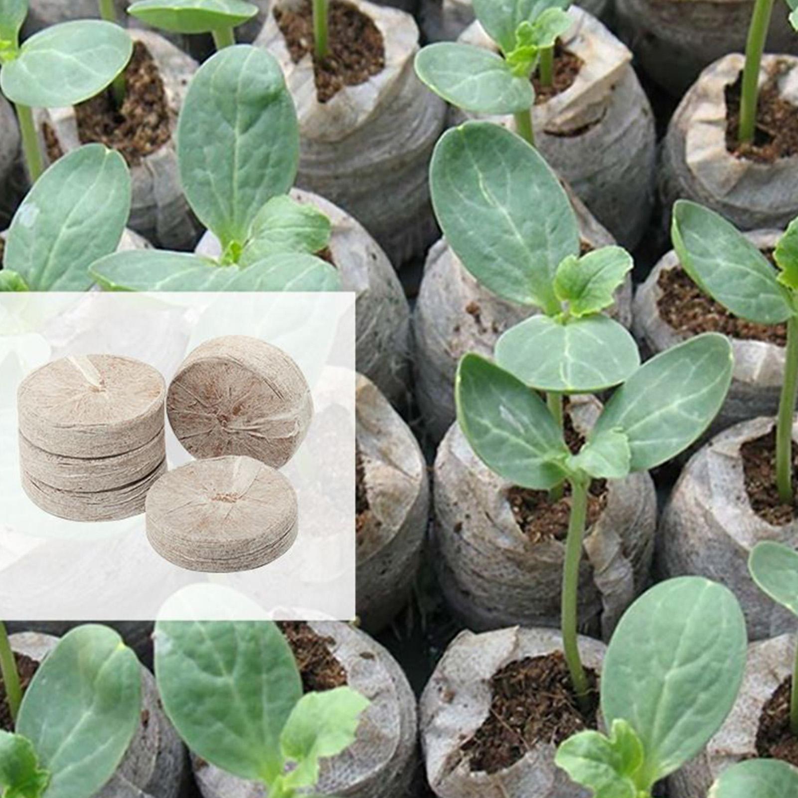 100 stuks potmengselbakjes 30m - Peat Pellet Tray recensie en prijs