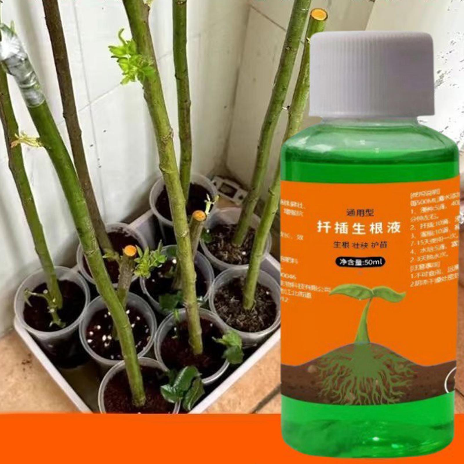 Hoogwaardige wortelstimulator  - Root Stimulator Liquid recensie en prijs