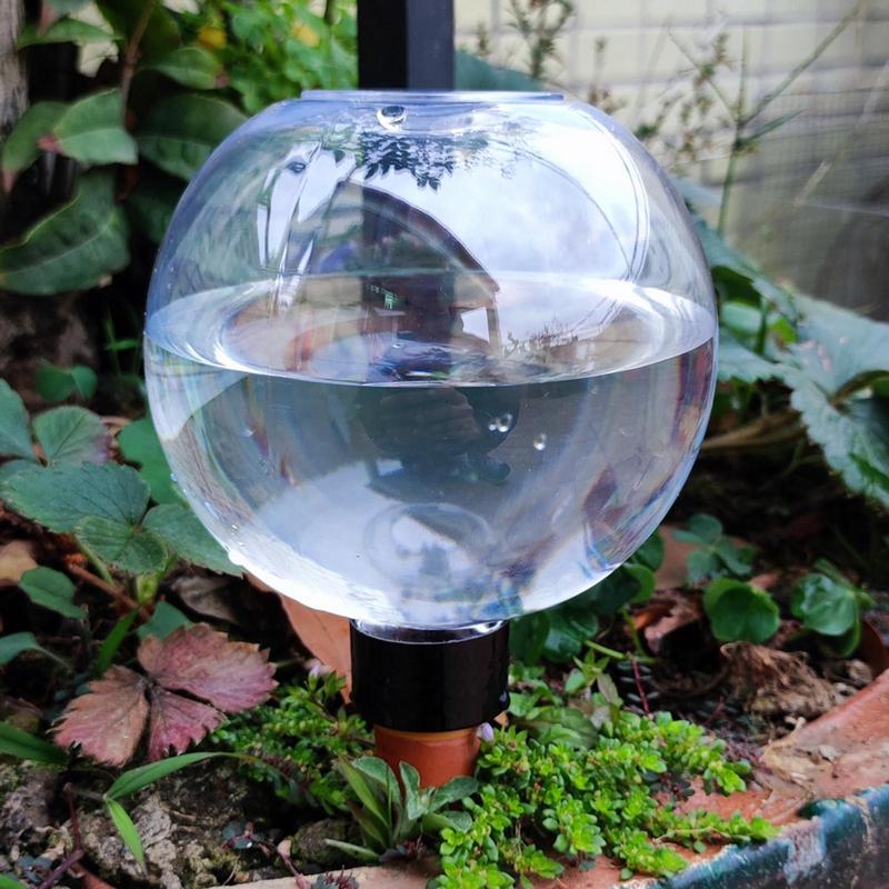 Plant Watering Bollen Automati - Self Watering Insert recensie en prijs