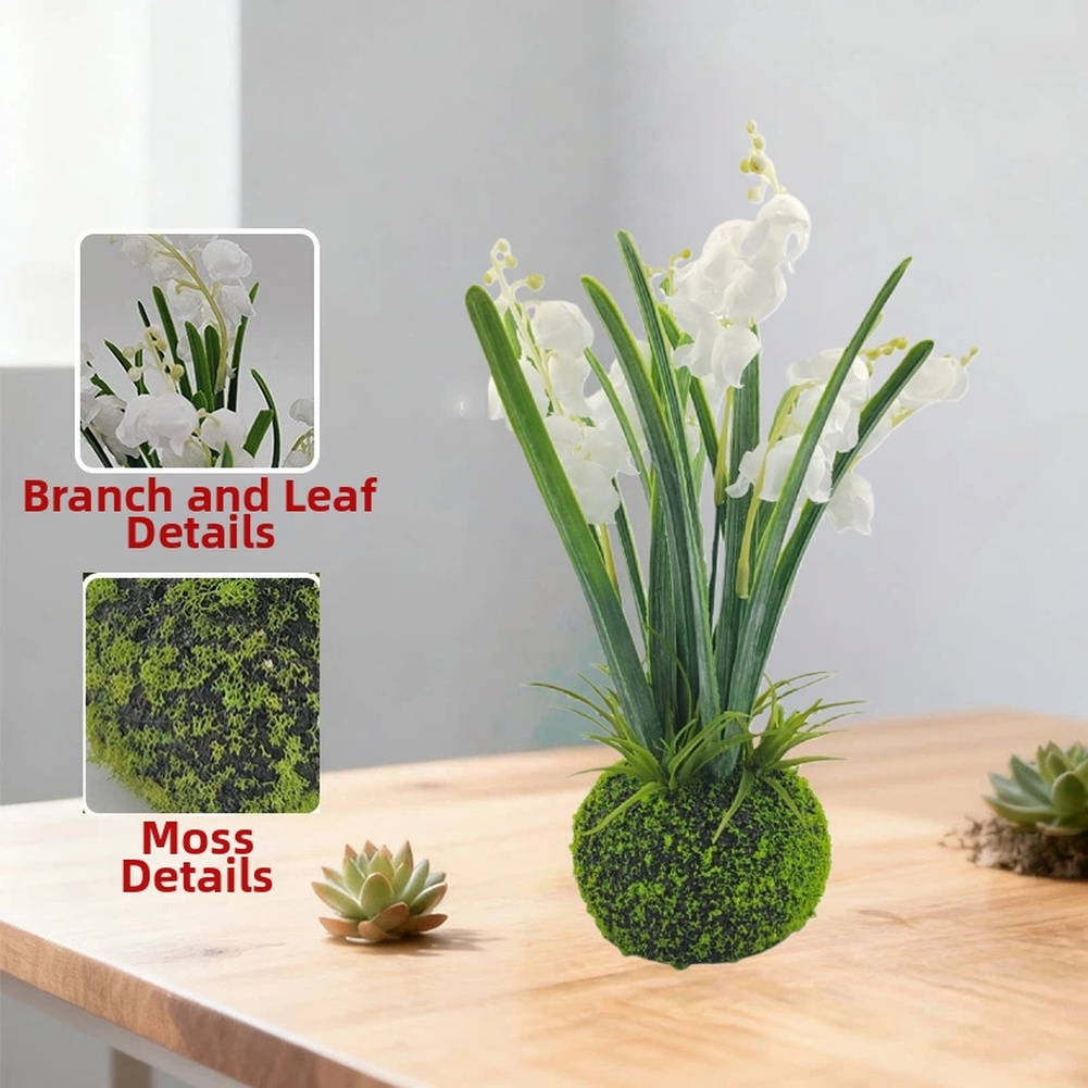 Compacte handgemaakte mosbal-w - Sphagnum Moss Dry recensie en prijs