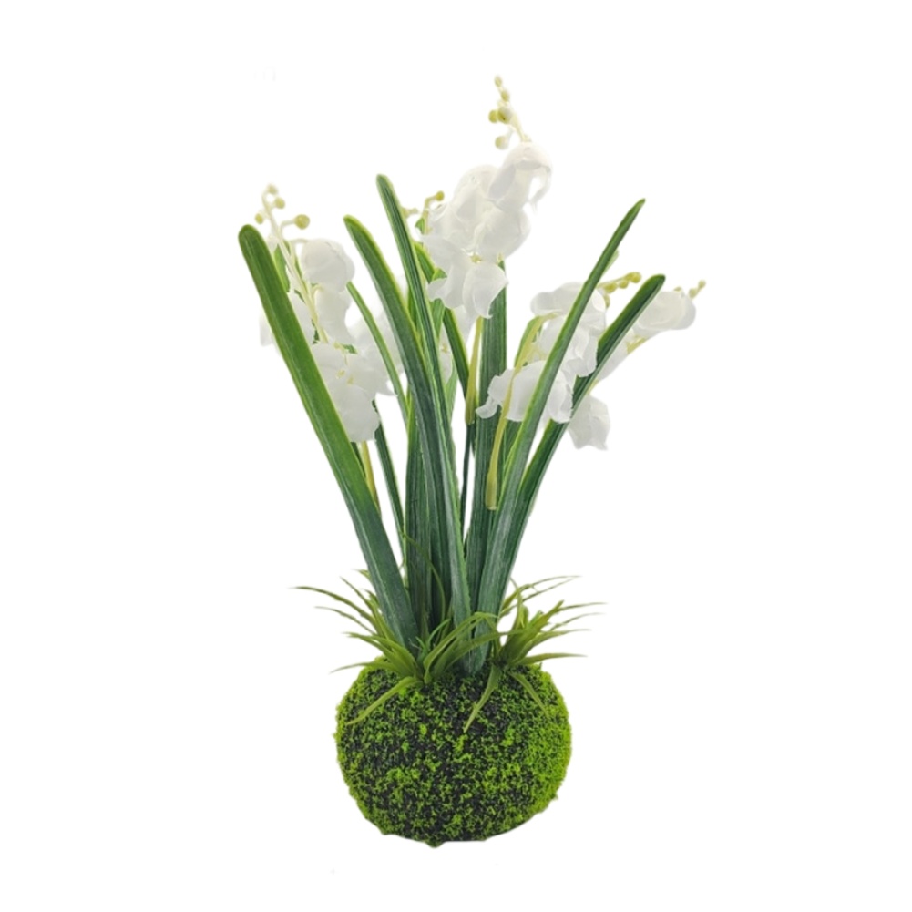 Compacte handgemaakte mosbal-w - Sphagnum Moss Dry recensie en prijs