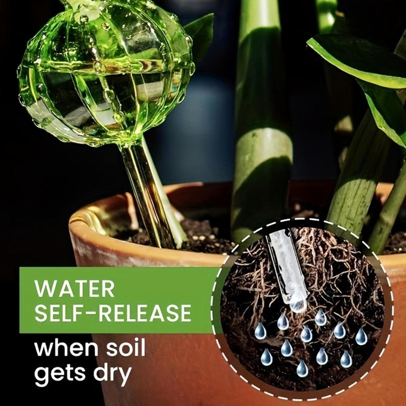 Plantenbewateringsstokken 3 st - Self Watering Insert recensie en prijs