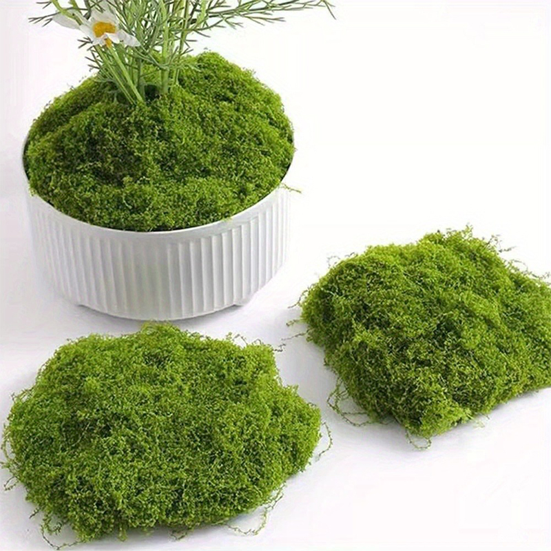 Groen nep mos DIY ambachten gr - Sphagnum Moss Dry recensie en prijs