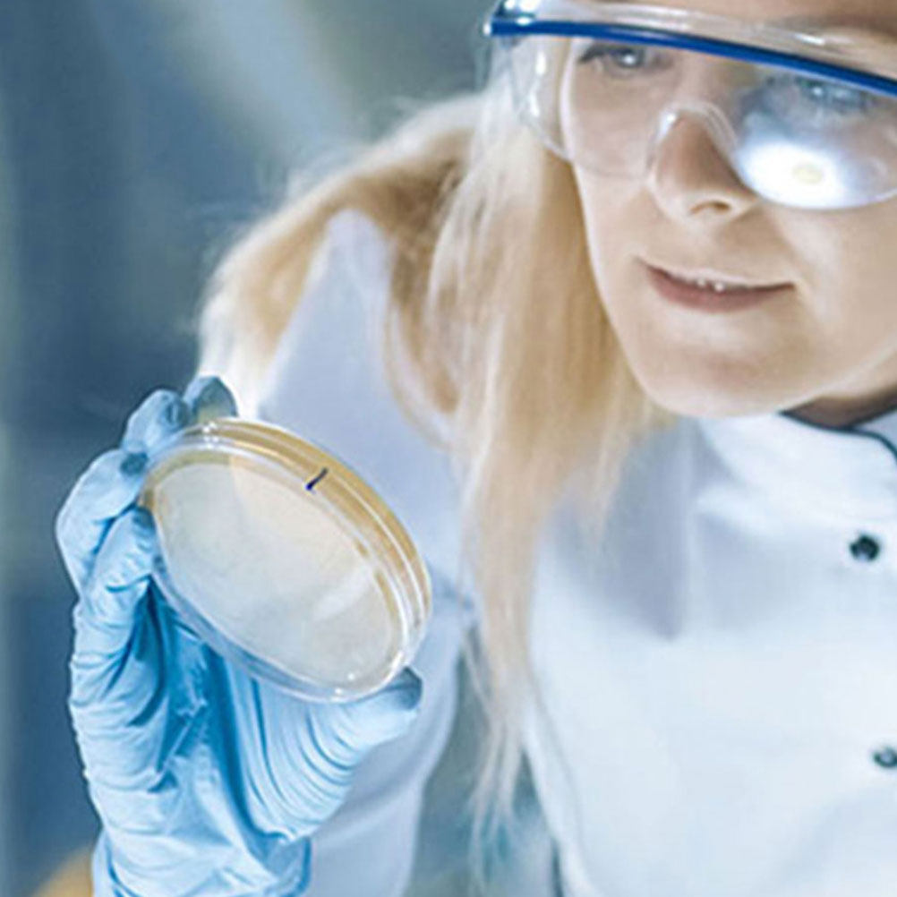 10 Stuks Plastic Petrischalen  - Agar Tissue Culture recensie en prijs