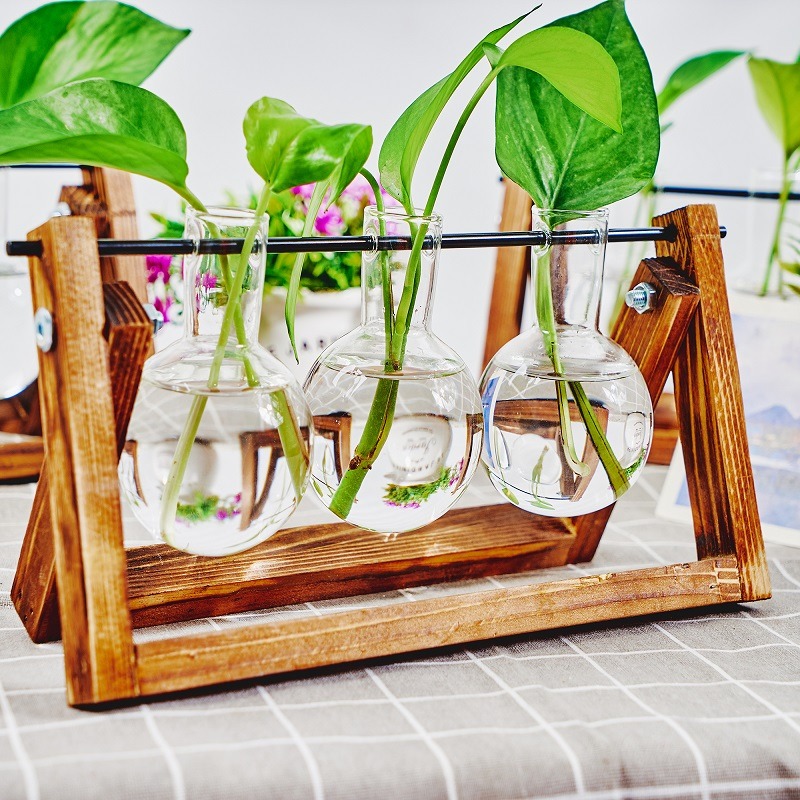 Tafelblad Glazen Planter Voort - Propagation Station Vase recensie en prijs