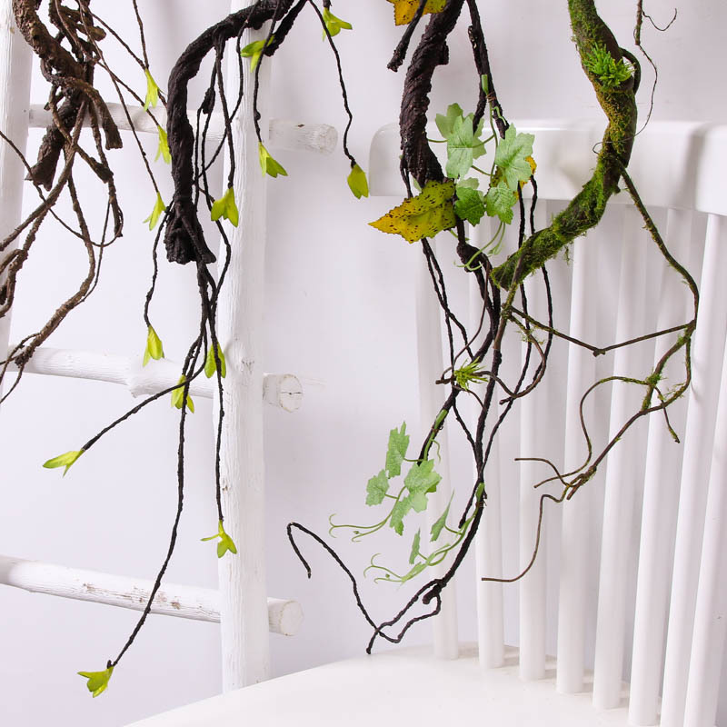 Nieuwe Kunstmatige Gedroogde W - Sphagnum Moss Dry recensie en prijs