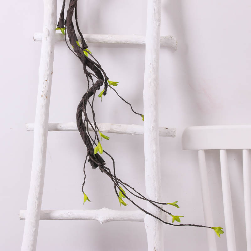 Nieuwe Kunstmatige Gedroogde W - Sphagnum Moss Dry recensie en prijs